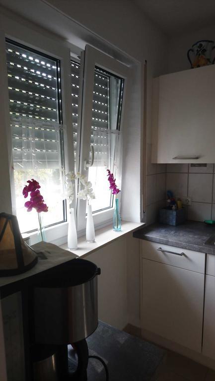Evelyn Klaeger Apartamento Friburgo em Brisgóvia Exterior foto